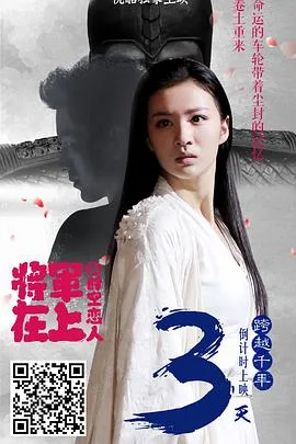 将军在上之时空恋人海报