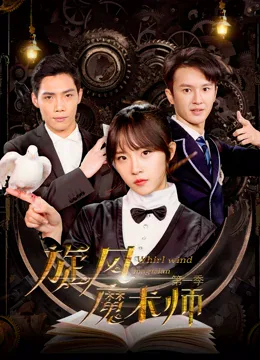 旋风魔术师第一季海报
