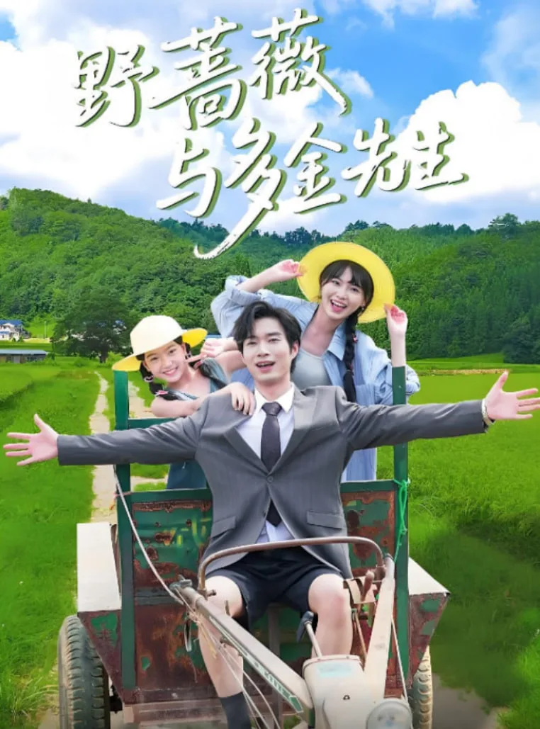 野蔷薇与多金先生海报
