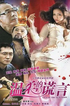 温柔的谎言海报