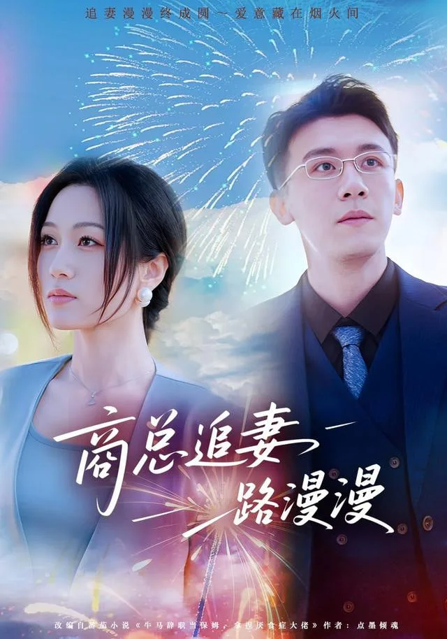 商总追妻路漫漫海报