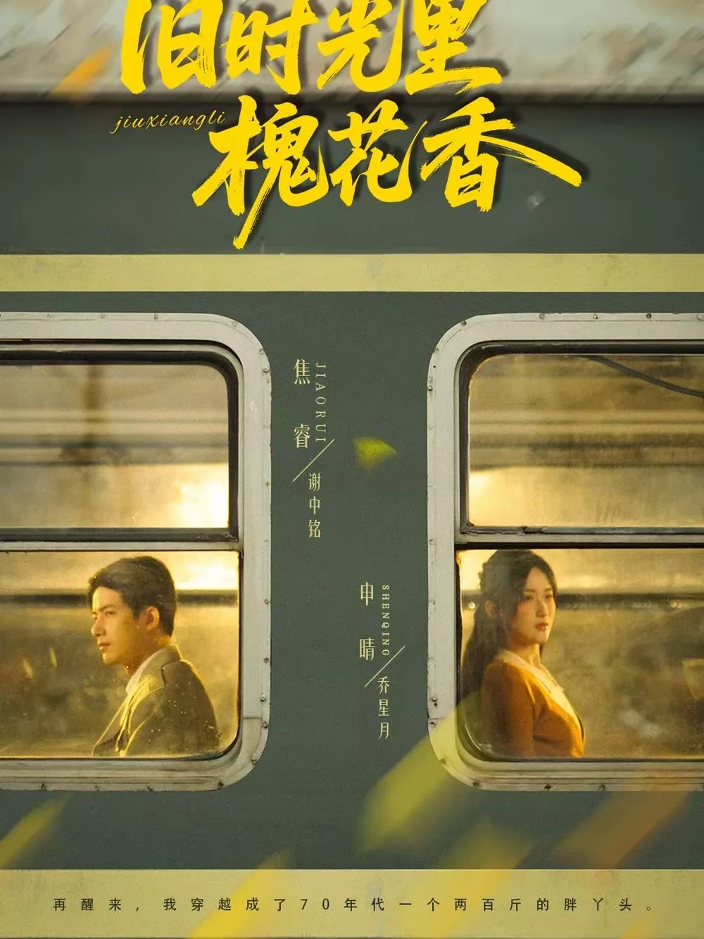 旧时光里槐花香海报