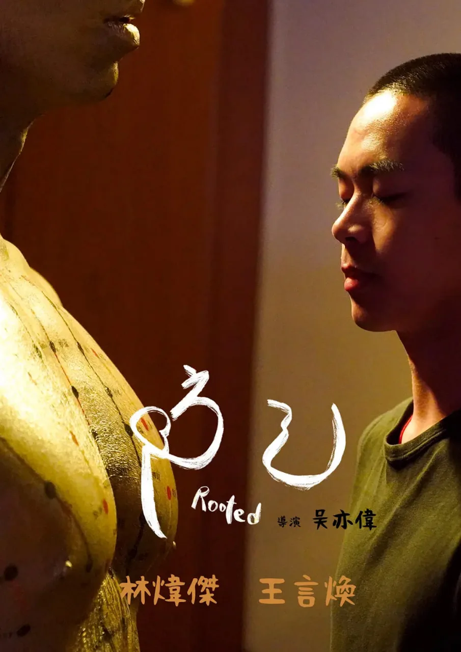 防己海报