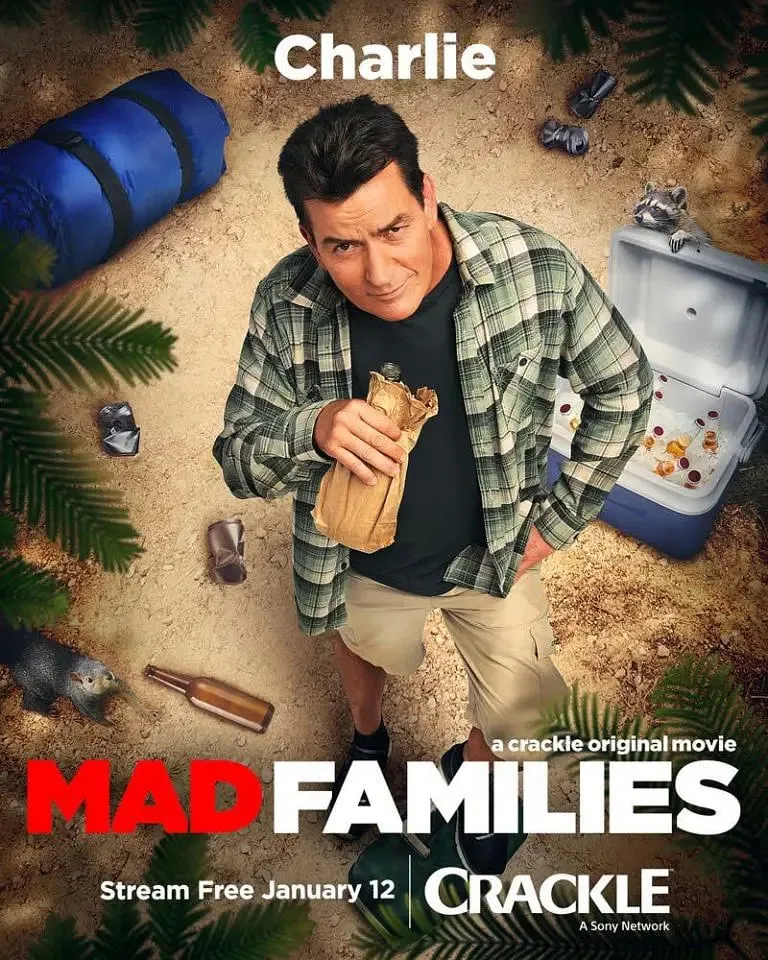 疯狂的家庭海报