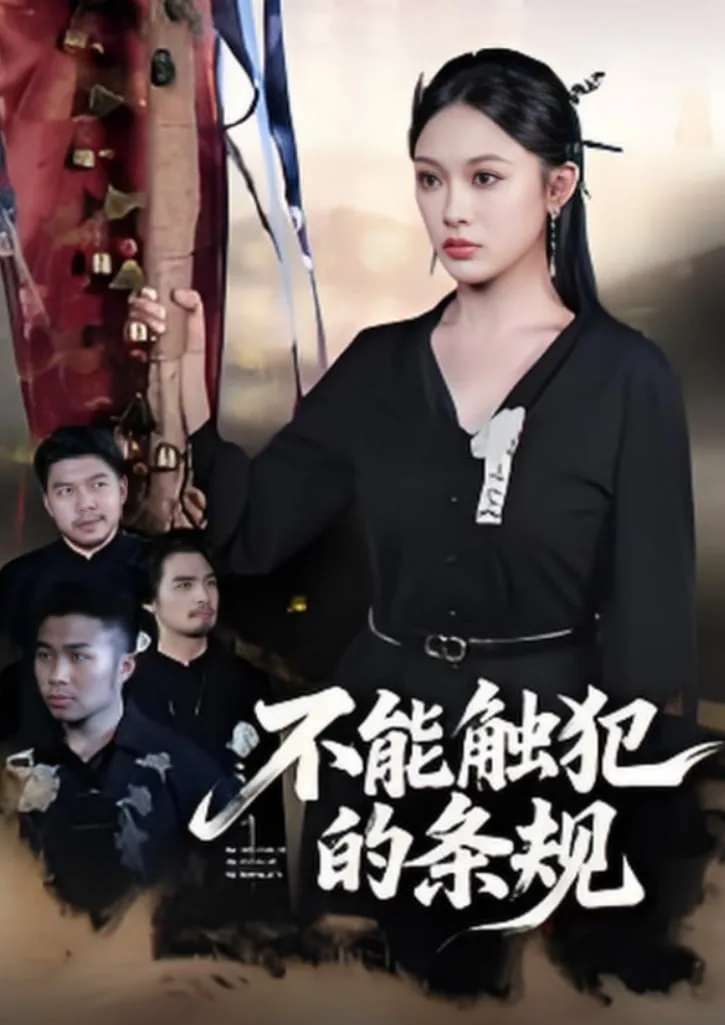 不能触犯的条规海报
