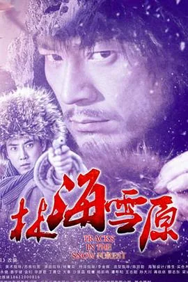 林海雪原海报