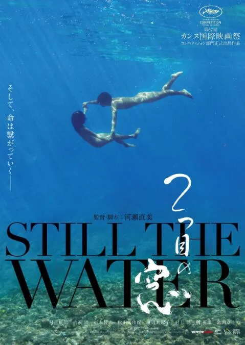 第二扇窗海报