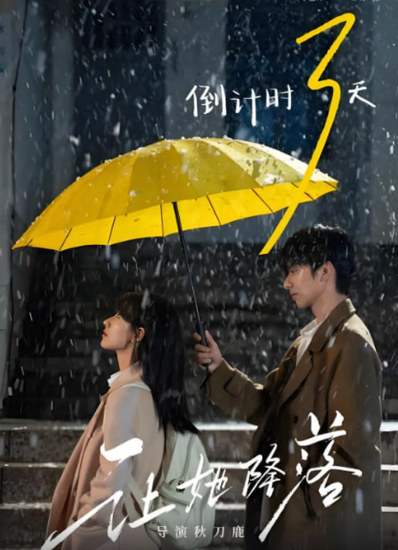 让她降落海报