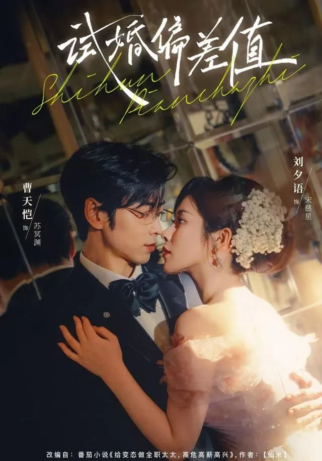 试婚偏差值海报