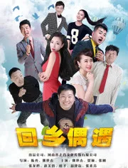 回乡偶遇海报