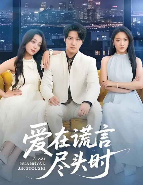 爱在谎言尽头时海报