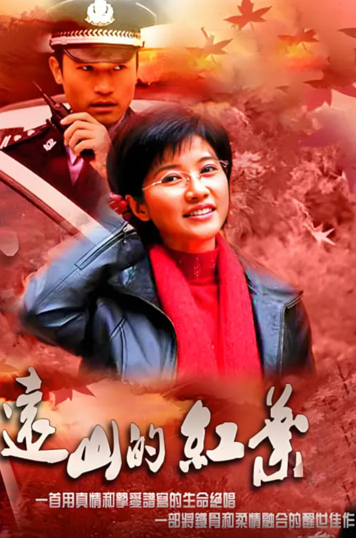 远山的红叶海报