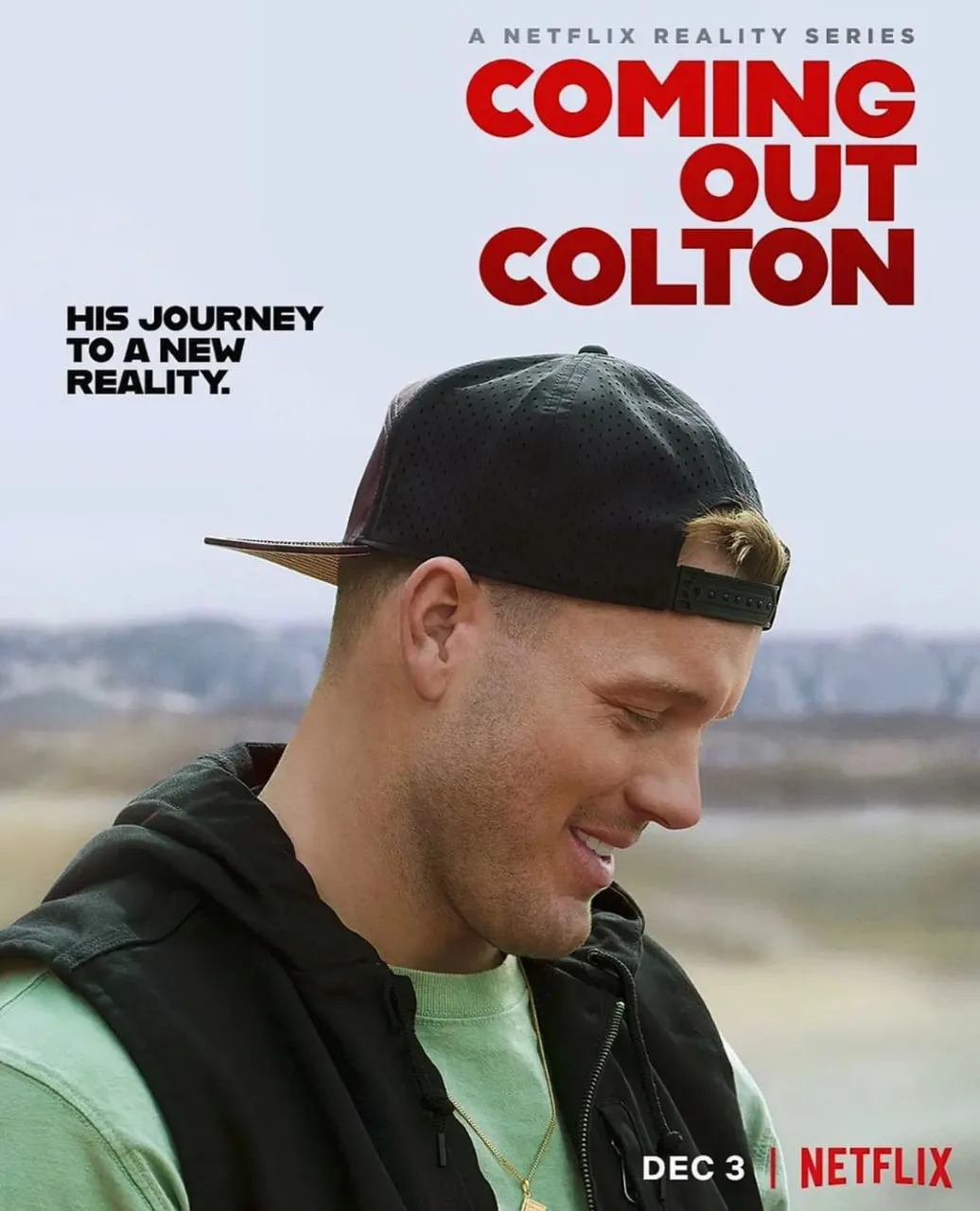 钻石单身汉的出柜人生海报