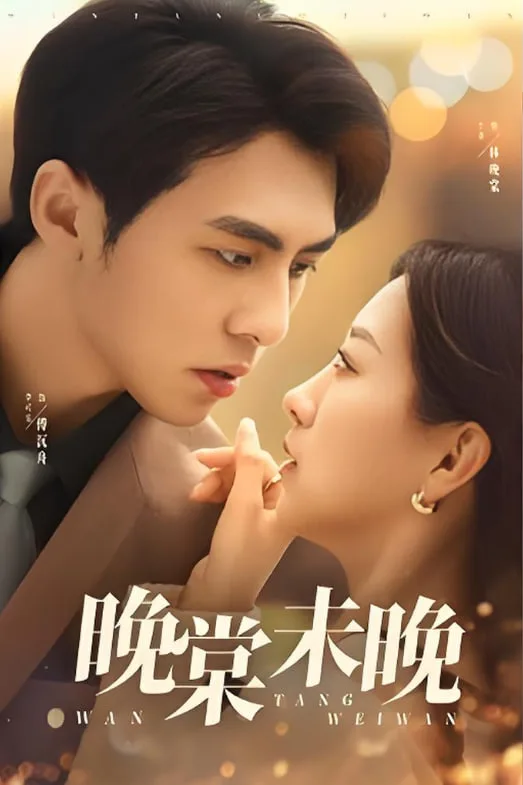 晚棠未晚海报