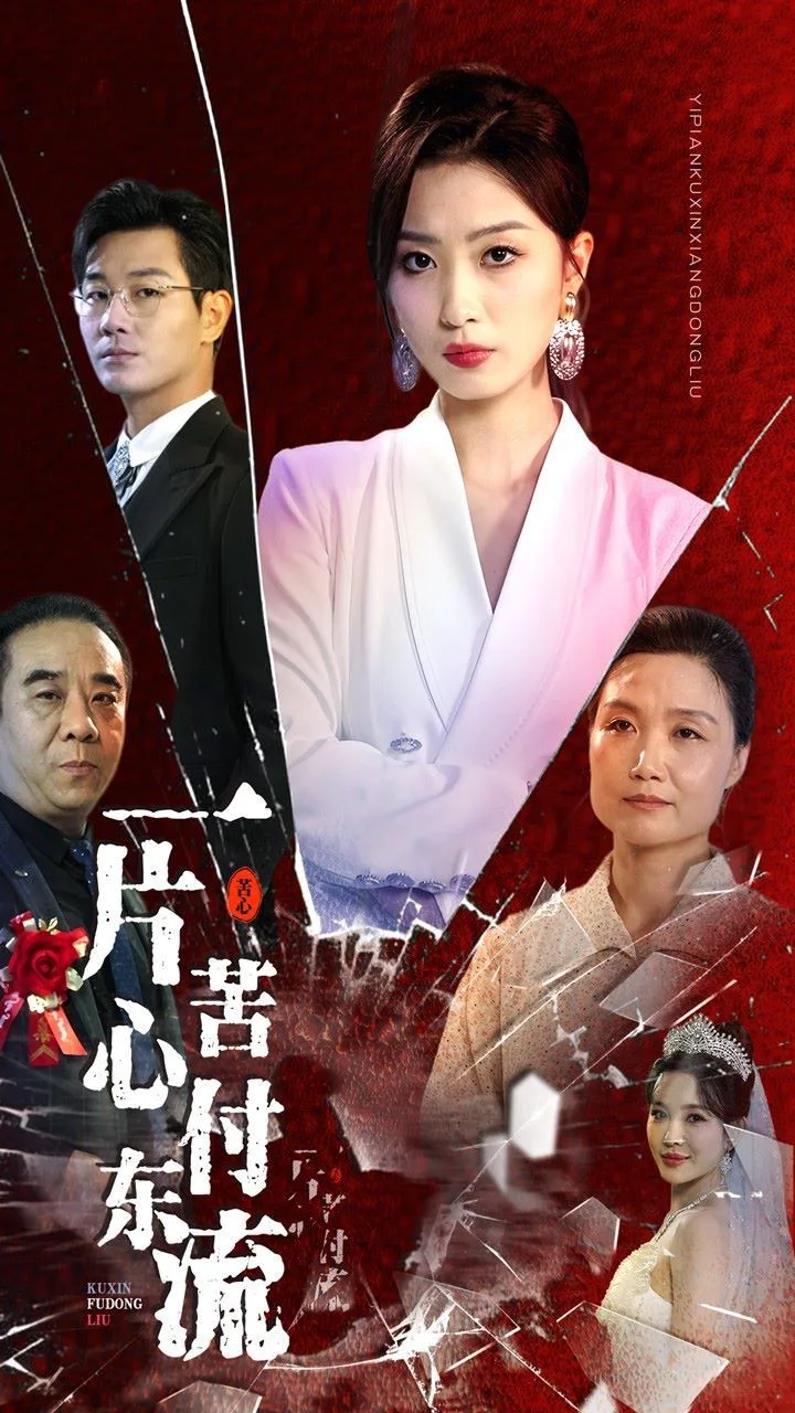 一片苦心付东流（女儿的荣耀）海报