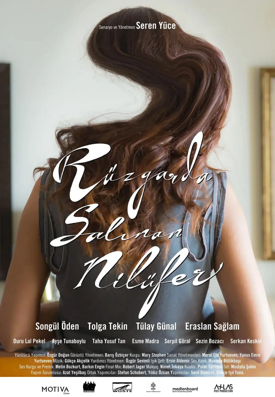 摇曳多姿的睡莲海报