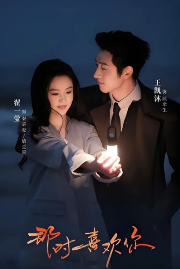 那时喜欢你海报