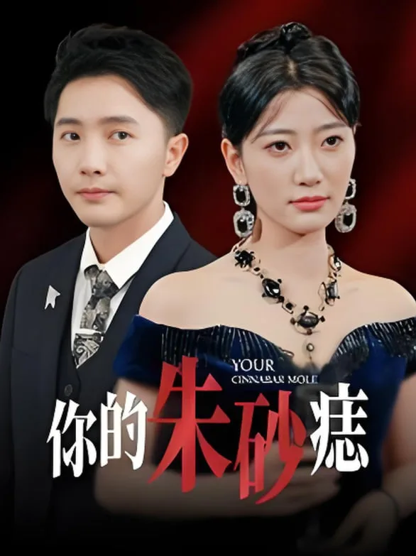 你的朱砂痣海报