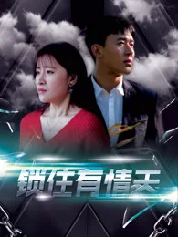 锁住有情天海报