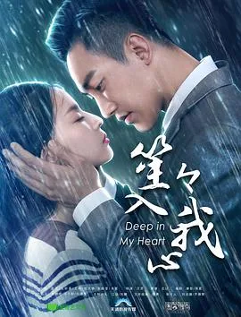 笙笙入我心海报