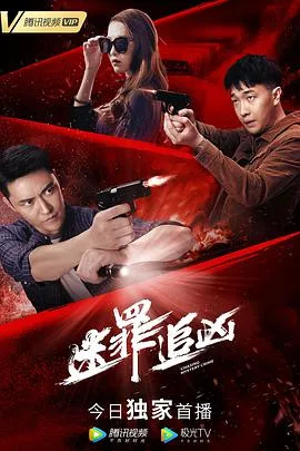 迷罪追凶海报