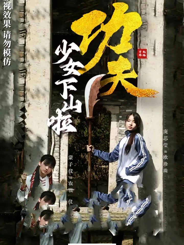 功夫少女（功夫少女下山啦）海报