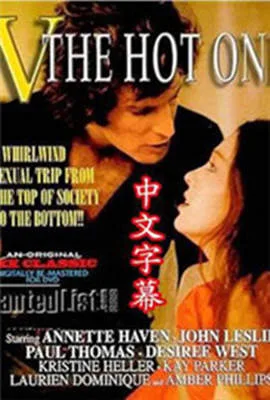 V娘的故事海报