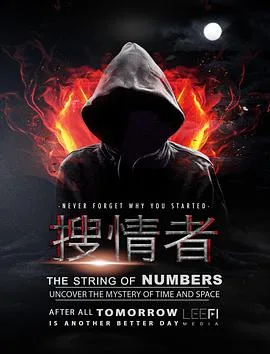 搜情者海报