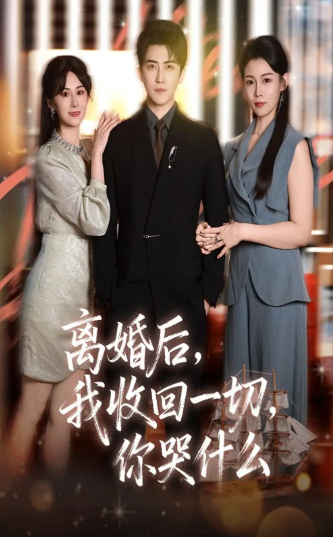 离婚后我收回一切你哭什么海报