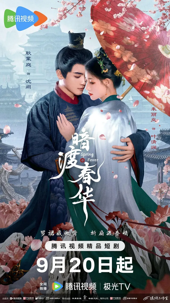 暗渡春华海报