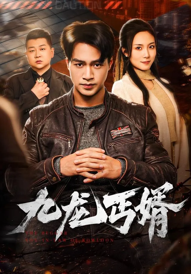 九龙丐婿海报
