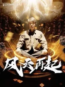 风云再起（痴傻老爸竟是仙人）海报