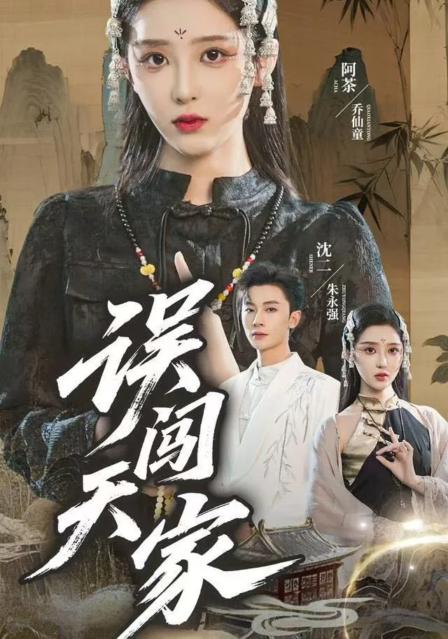 误闯天家海报