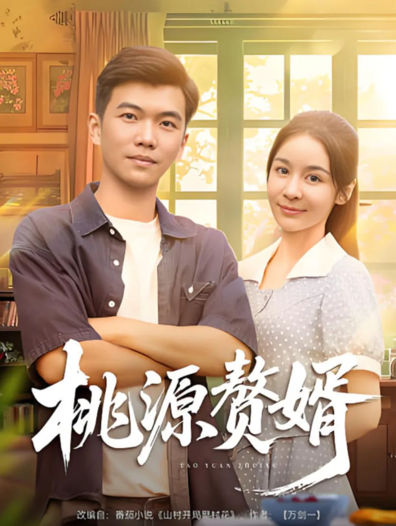 桃源赘婿海报