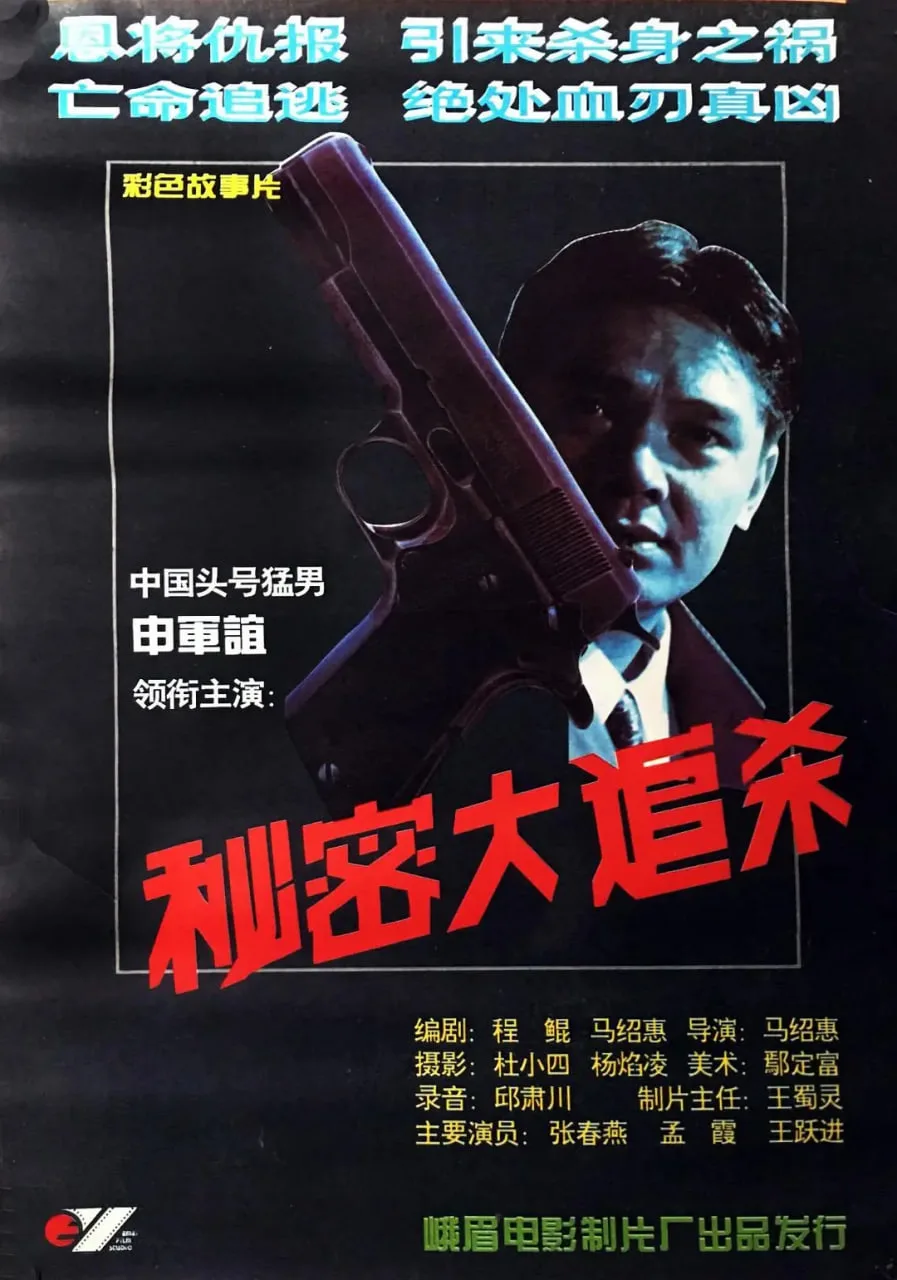 秘密大追杀海报