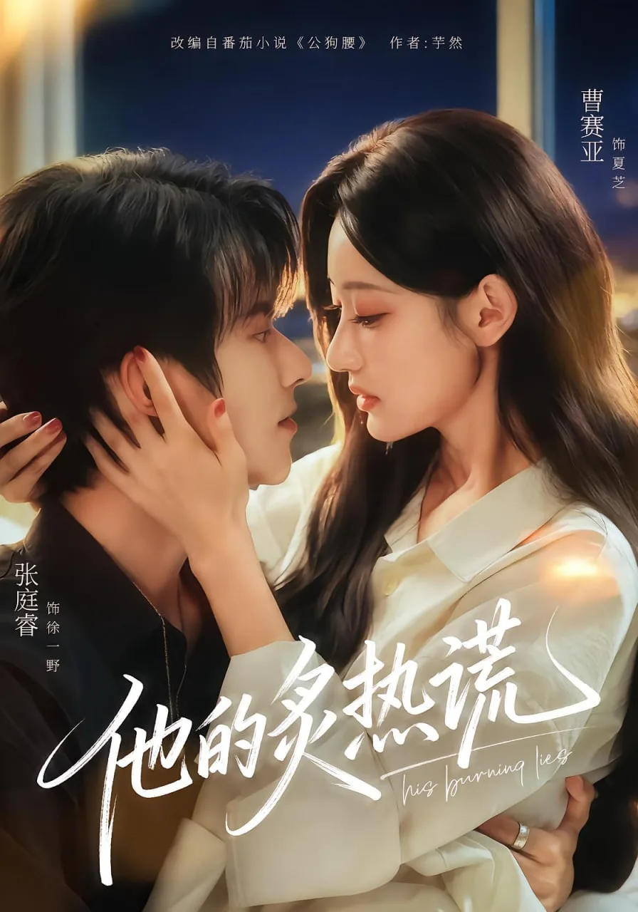 他的炙热谎海报
