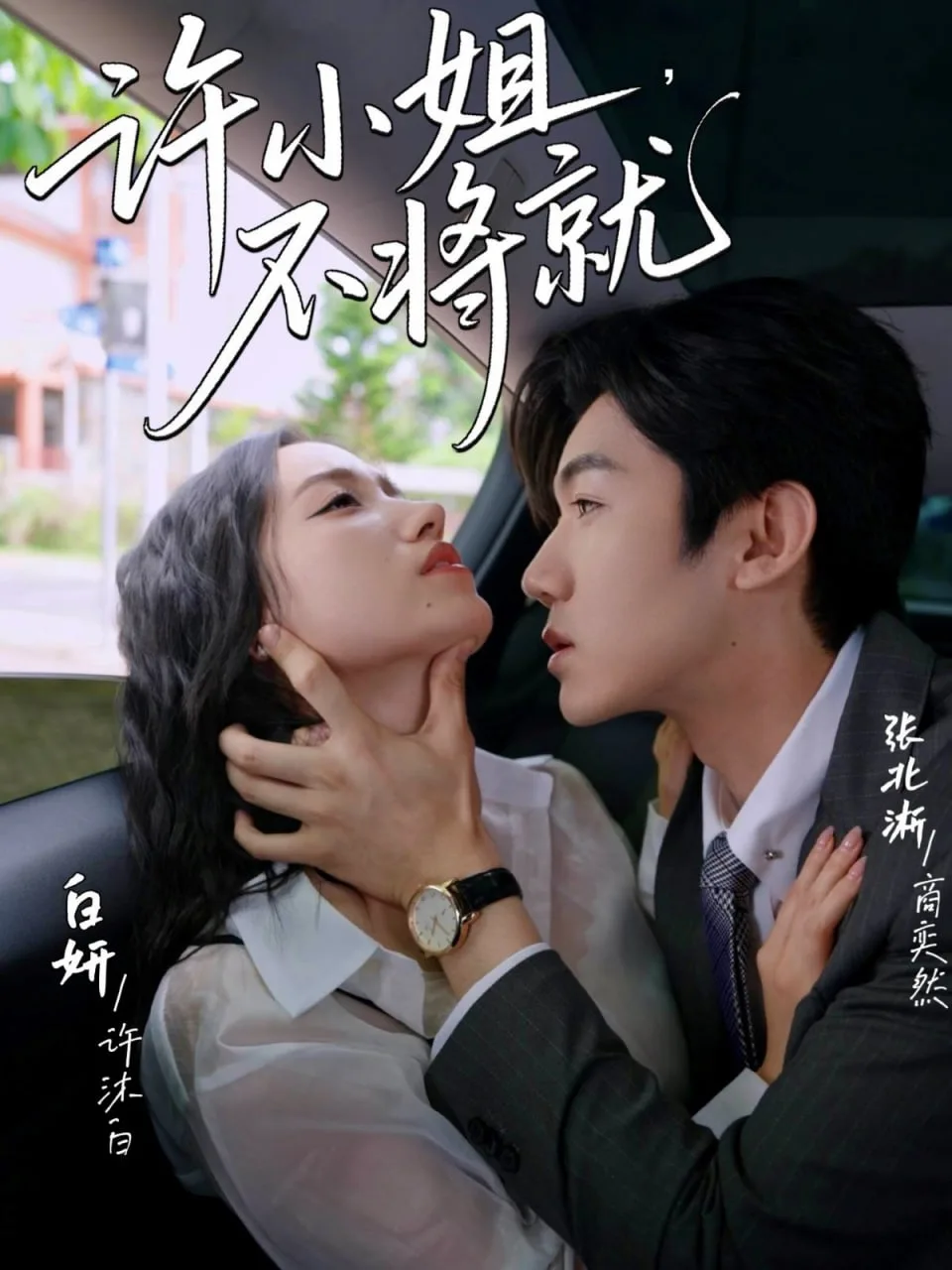 许小姐不将就海报
