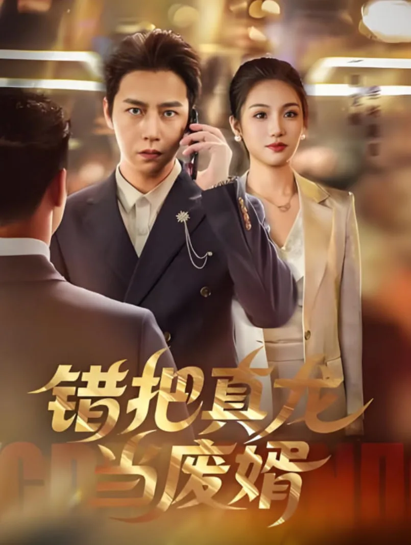 错把真龙当赘婿海报