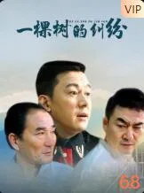 一棵树的纠纷海报