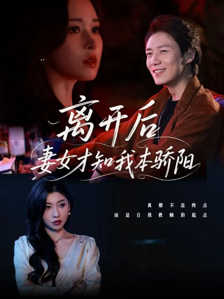离开后妻女才知我本骄阳海报