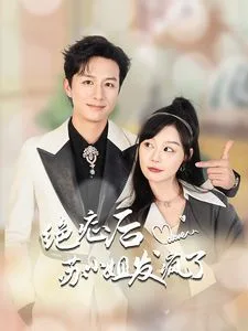 绝症后苏小姐发疯了海报