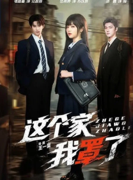 这个家我罩了海报