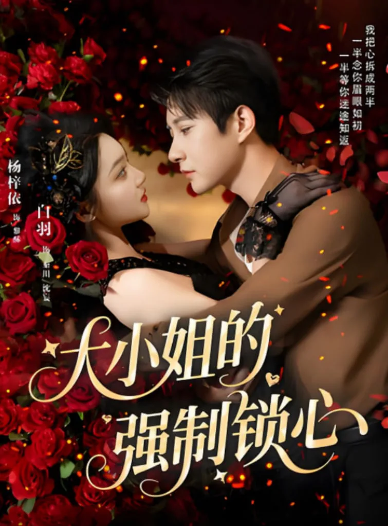 大小姐的强制锁心海报