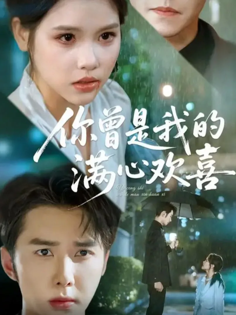 你曾是我的满心欢喜海报