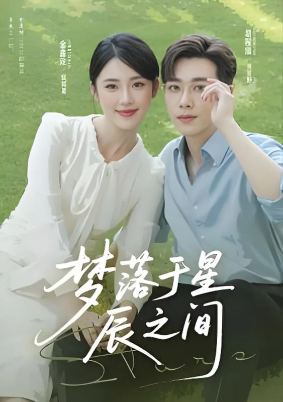 梦落于星辰之间海报