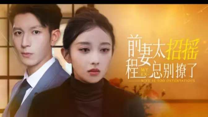 前妻太招摇，程总别撩了海报