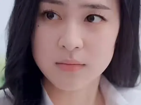 城南花正开海报