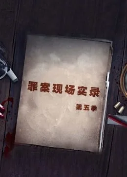 罪案现场实录 第五季海报