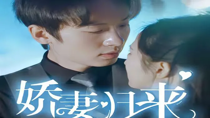 新：娇妻归来海报