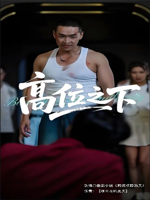 高位之下海报